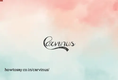 Carvinus