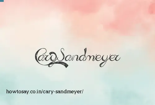 Cary Sandmeyer