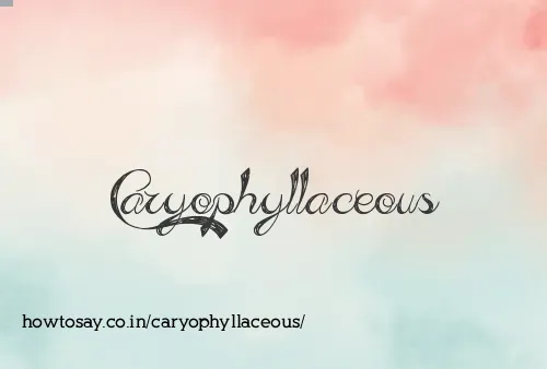 Caryophyllaceous