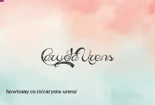 Caryota Urens