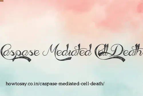 Caspase Mediated Cell Death