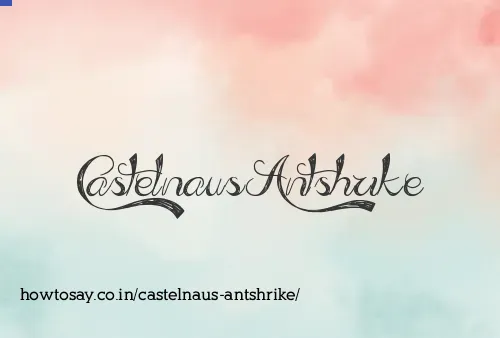 Castelnaus Antshrike