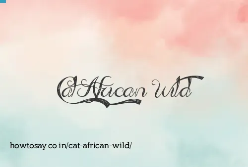Cat African Wild