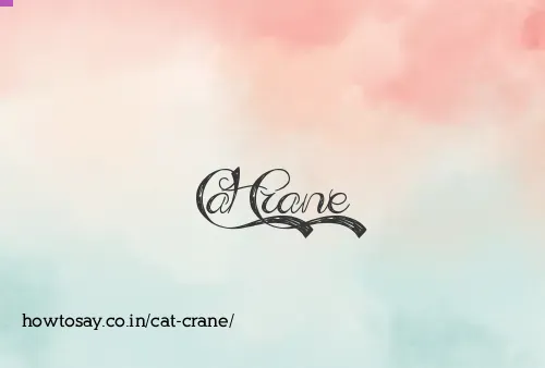 Cat Crane