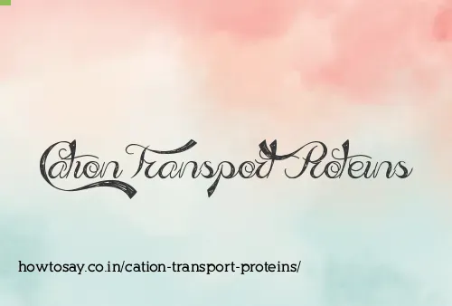 Cation Transport Proteins