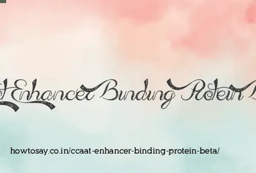 Ccaat Enhancer Binding Protein Beta