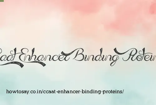 Ccaat Enhancer Binding Proteins
