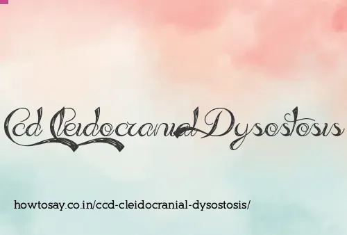 Ccd Cleidocranial Dysostosis