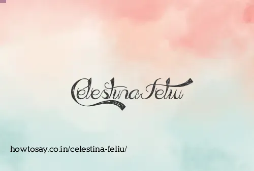Celestina Feliu
