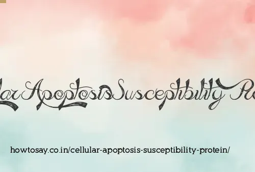 Cellular Apoptosis Susceptibility Protein