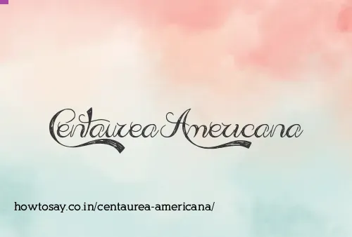 Centaurea Americana