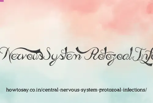Central Nervous System Protozoal Infections