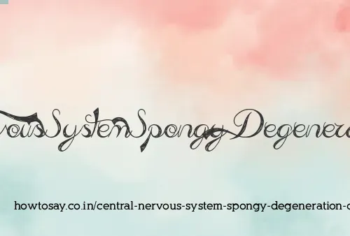 Central Nervous System Spongy Degeneration Of The