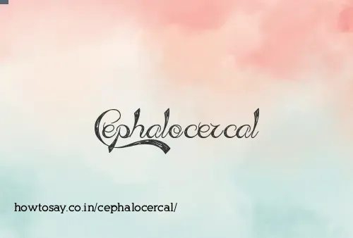 Cephalocercal