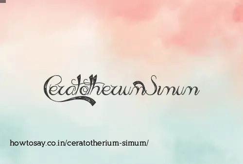 Ceratotherium Simum
