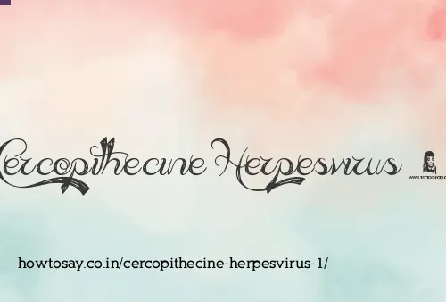 Cercopithecine Herpesvirus 1