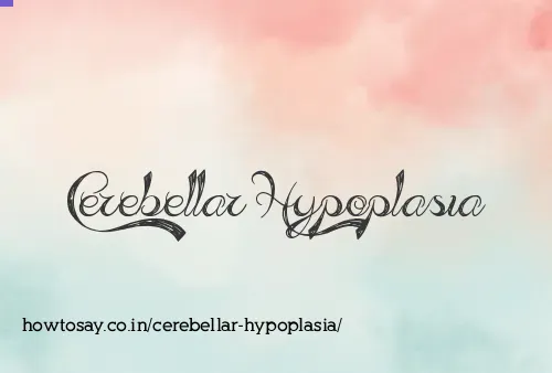 Cerebellar Hypoplasia
