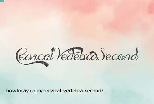 Cervical Vertebra Second