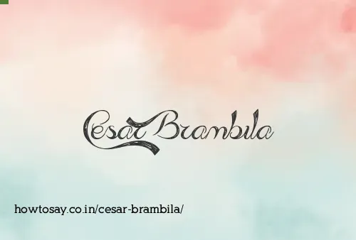 Cesar Brambila