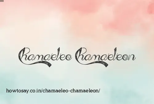 Chamaeleo Chamaeleon