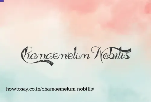 Chamaemelum Nobilis