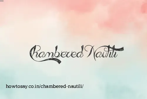 Chambered Nautili