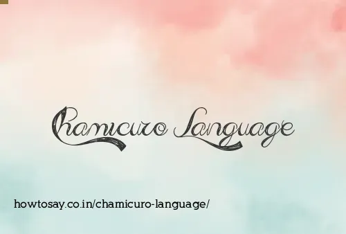 Chamicuro Language