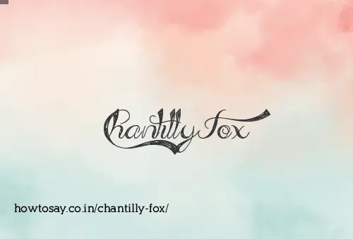 Chantilly Fox