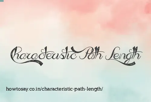 Characteristic Path Length