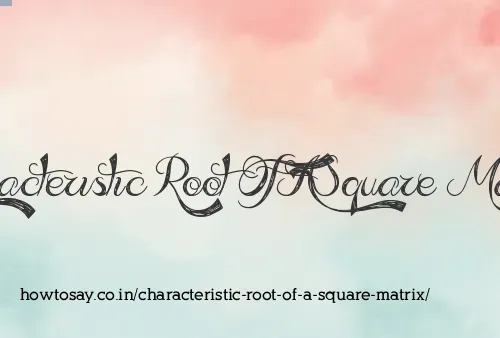 Characteristic Root Of A Square Matrix