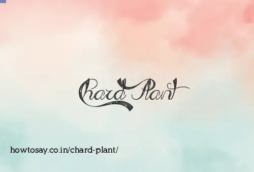 Chard Plant
