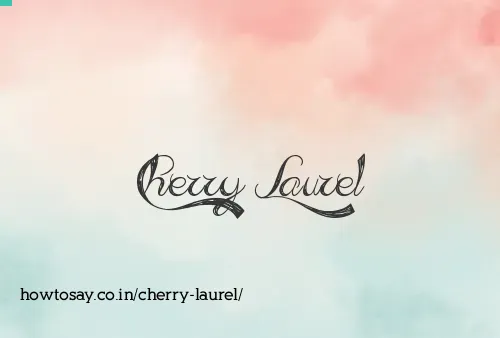 Cherry Laurel