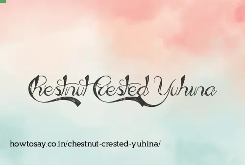 Chestnut Crested Yuhina