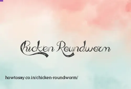 Chicken Roundworm