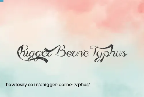 Chigger Borne Typhus