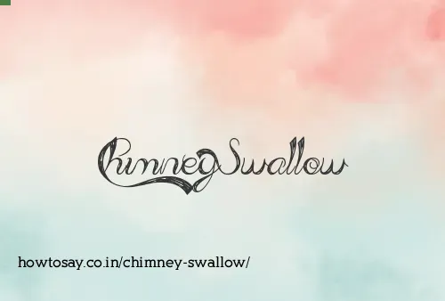 Chimney Swallow