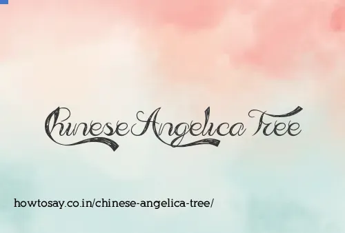 Chinese Angelica Tree