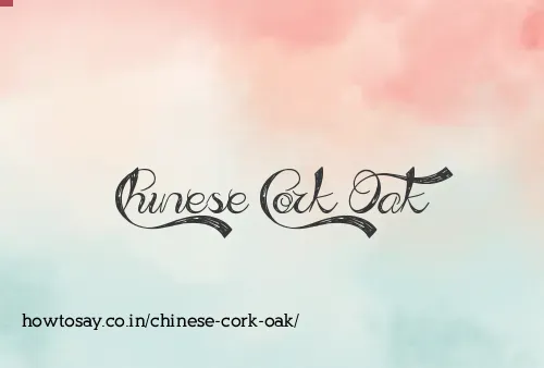 Chinese Cork Oak