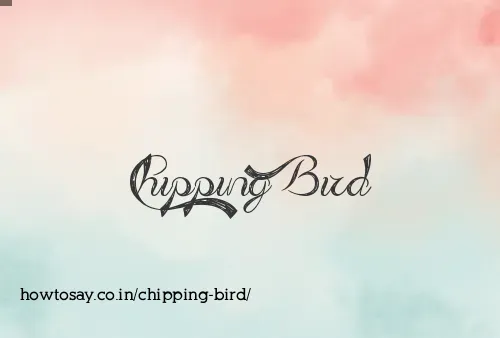 Chipping Bird