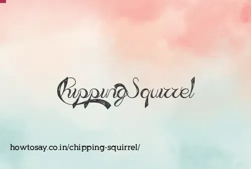 Chipping Squirrel