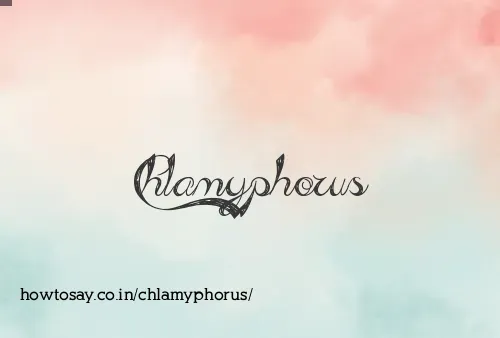 Chlamyphorus