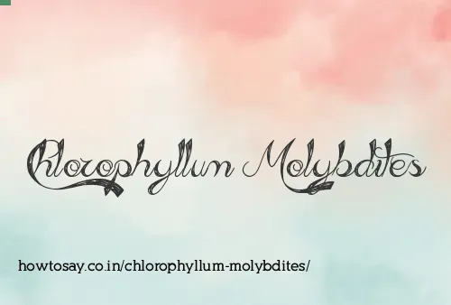 Chlorophyllum Molybdites
