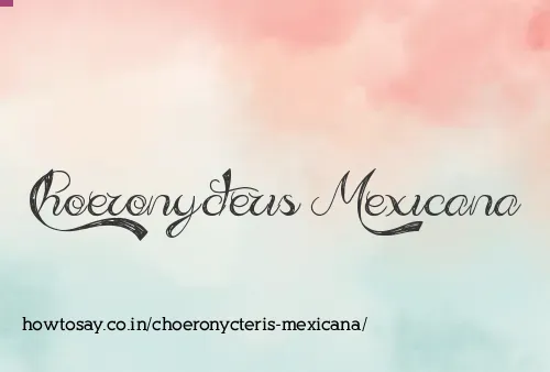 Choeronycteris Mexicana