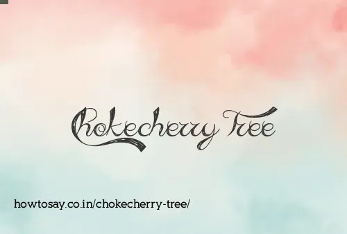 Chokecherry Tree