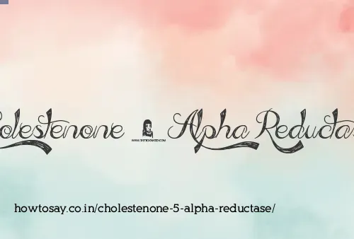 Cholestenone 5 Alpha Reductase
