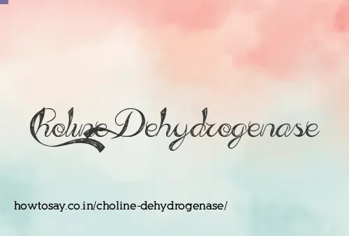 Choline Dehydrogenase