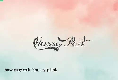 Chrissy Plant