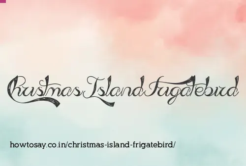 Christmas Island Frigatebird