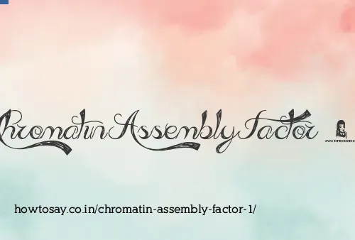 Chromatin Assembly Factor 1