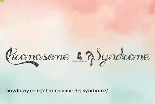 Chromosome 5q Syndrome